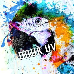 _DRUK UV